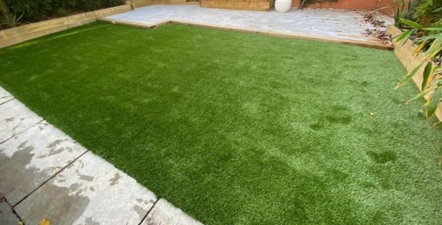 Rectified Back Garden